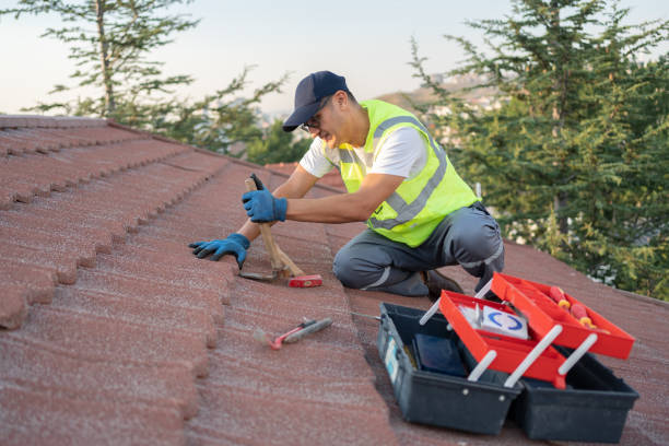 Best Metal Roofing Contractor  in Mexico, MO